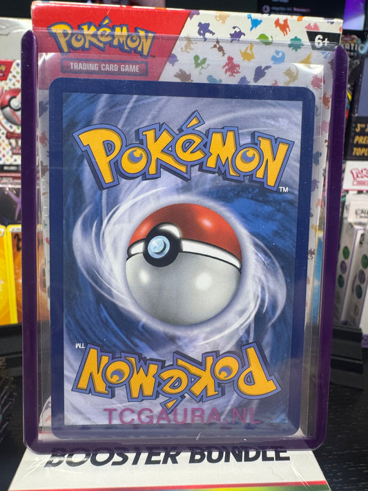 Mega Kangaskhan ex 182/132